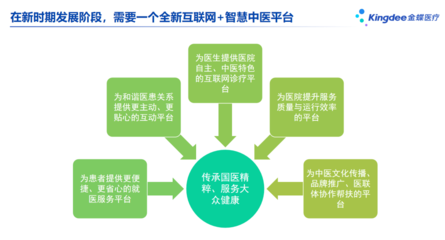 中藥互聯(lián)網項目概況與網站設計要點